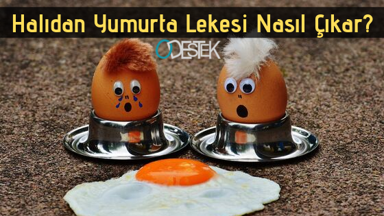 Halidaki Kahve Lekesi Nasil Cikarilir Pratik Bilgiler Haberleri